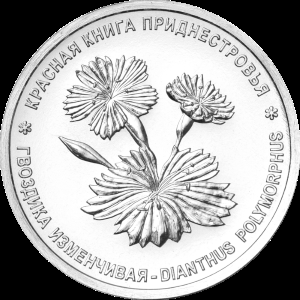 Гвоздика изменчивая (1 рубль, Приднестровье, 2025 года)